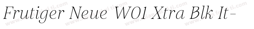 Frutiger Neue W01 Xtra Blk It字体转换